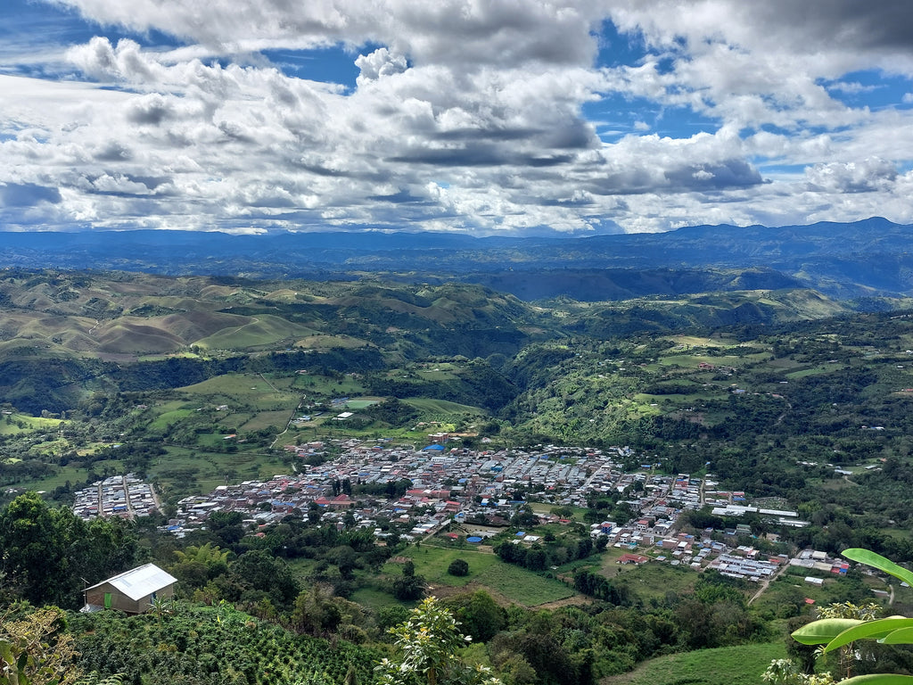 Colombia Willington Ultengo