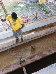 Ethiopia Gotae Sodu