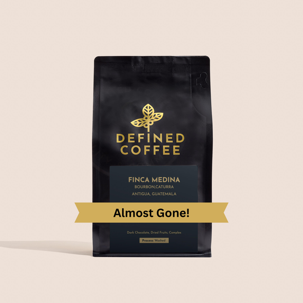 Guatemala Finca Medina