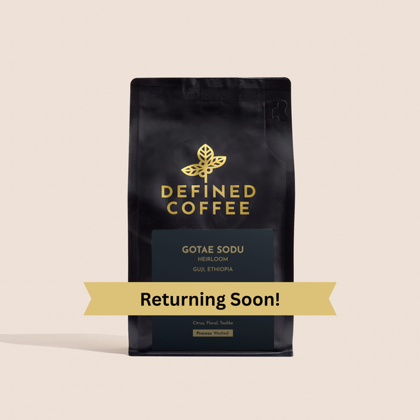 Ethiopia Gotae Sodu