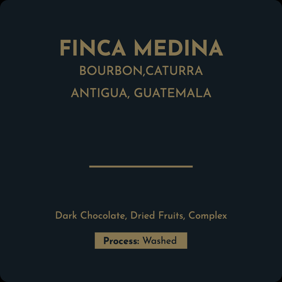 Guatemala Finca Medina