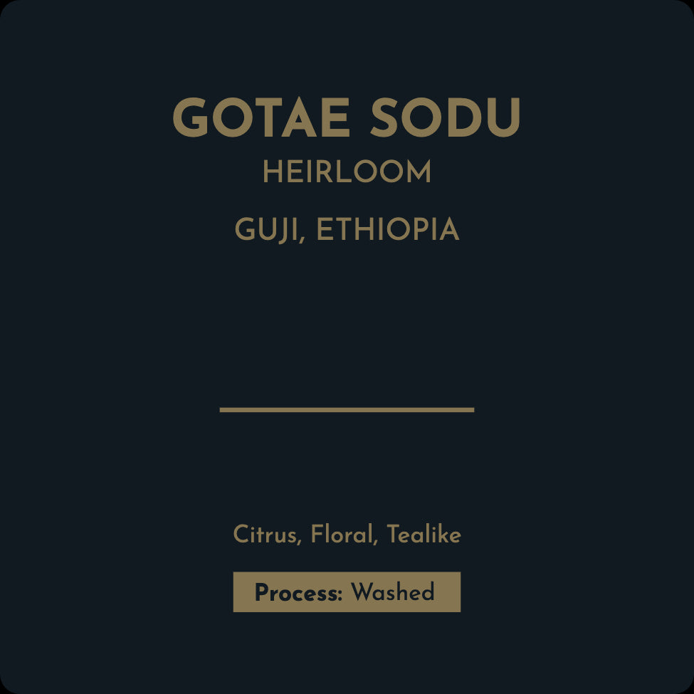 Ethiopia Gotae Sodu